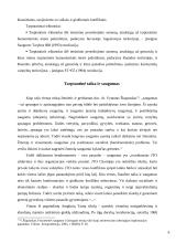 Jungtinių Tautų Organizacijos (JTO) priemonės kovojant su  terorizmu 9 puslapis