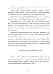 Juodkrantės apylinkių įvertinimas ekologiniu aspektu 12 puslapis