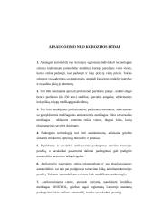 Automobilių korozija ir jos priežastys 11 puslapis