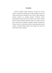 Automobilių korozija ir jos priežastys 13 puslapis