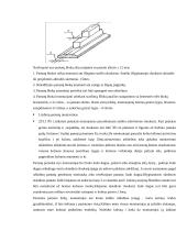 Juostinių pamatų montavimas 14 puslapis