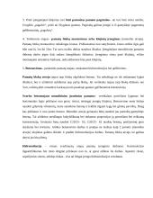 Juostinių pamatų montavimas 3 puslapis