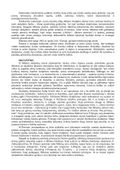 Juozas Mikėnas 4 puslapis