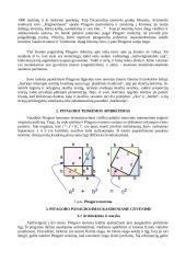Pitagoro teoremos nauda gyvenime 2 puslapis