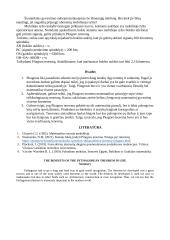 Pitagoro teoremos nauda gyvenime 4 puslapis