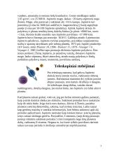 Jupiteris Saulės sistemoje 3 puslapis