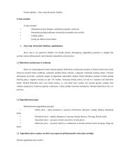 Jūra, kaip rekreacinis išteklius 2 puslapis