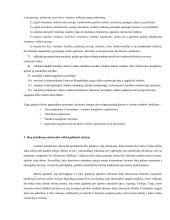 Jūra, kaip rekreacinis išteklius 11 puslapis