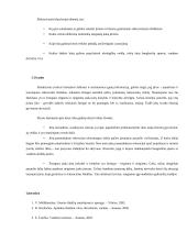 Jūra, kaip rekreacinis išteklius 12 puslapis