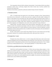 Jūra, kaip rekreacinis išteklius 4 puslapis