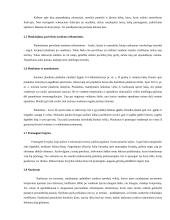 Jūra, kaip rekreacinis išteklius 5 puslapis