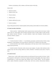 Jūra, kaip rekreacinis išteklius 6 puslapis