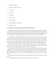 Jūra, kaip rekreacinis išteklius 10 puslapis