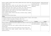 Ilgalaikis lietuvių kalbos ir literatūros planas 11 klasei (išplėstinis kursas) 4 puslapis