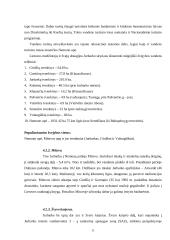 Jurbarko apylinkių tyrimai 11 puslapis