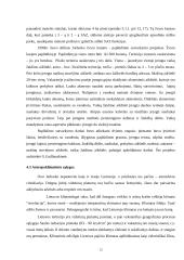 Jurbarko apylinkių tyrimai 12 puslapis