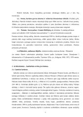 Jurbarko apylinkių tyrimai 6 puslapis