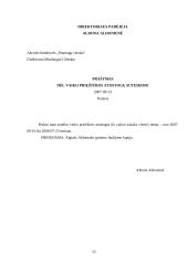 Juridinę reikšmę turinčių rekvizitų analizė 15 puslapis