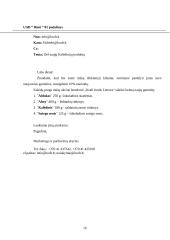 Juridinę reikšmę turinčių rekvizitų analizė 16 puslapis