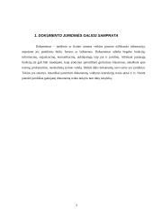 Juridinę reikšmę turinčių rekvizitų analizė 3 puslapis