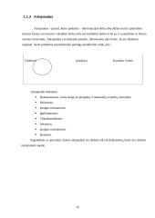 Juridinę reikšmę turinčių rekvizitų analizė 10 puslapis