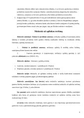 Juridinių asmenų mokami mokesčiai 5 puslapis