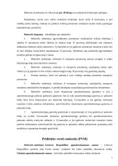 Juridinių asmenų mokami mokesčiai 6 puslapis