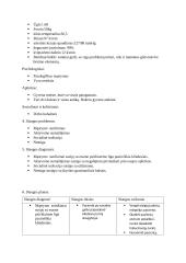 Individuali slaugos praktikos užduotis 3 puslapis