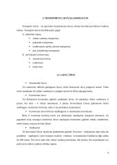 Jūrų transporto samprata 4 puslapis