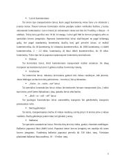 Jūrų transporto samprata 5 puslapis