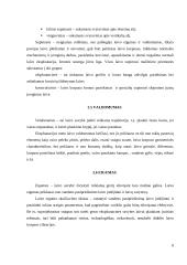 Jūrų transporto samprata 8 puslapis