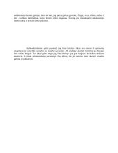 Politinė alegorija ir satyriškas santykis su tikrove. Dž. Orvelas "Gyvulių ūkis" 2 puslapis