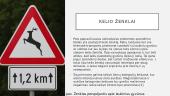 Automobilių susidūrimai su laukiniais gyvūnais Lietuvoje 13 puslapis