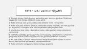 Automobilių susidūrimai su laukiniais gyvūnais Lietuvoje 20 puslapis