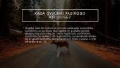 Automobilių susidūrimai su laukiniais gyvūnais Lietuvoje 9 puslapis