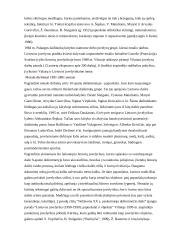 Juvelyrika 6 puslapis