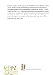 Juvelyrika 7 puslapis