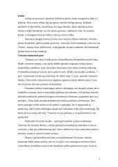 Kaimiškasis turizmas Lietuvoje 3 puslapis