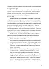 Kaimiškasis turizmas Lietuvoje 4 puslapis