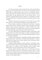 Kaimo bendruomenių narių skatinimas dalyvauti socioedukacinėje veikloje 2 puslapis