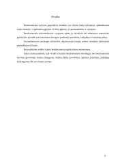 Kaimo bendruomenių narių skatinimas dalyvauti socioedukacinėje veikloje 9 puslapis