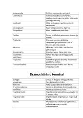 Literatūros teorijos sąvokos 2 puslapis