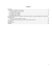 Kaimo kultūros ypatumai. Kaimo žmonių kultūrinių vertybių kaita 2 puslapis