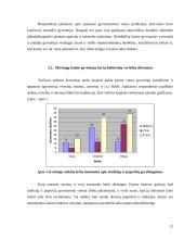 Kaimo kultūros ypatumai. Kaimo žmonių kultūrinių vertybių kaita 12 puslapis