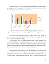 Kaimo kultūros ypatumai. Kaimo žmonių kultūrinių vertybių kaita 13 puslapis