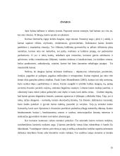 Kaimo kultūros ypatumai. Kaimo žmonių kultūrinių vertybių kaita 15 puslapis