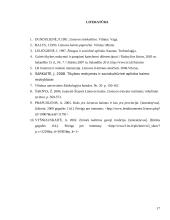 Kaimo kultūros ypatumai. Kaimo žmonių kultūrinių vertybių kaita 17 puslapis