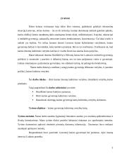 Kaimo kultūros ypatumai. Kaimo žmonių kultūrinių vertybių kaita 3 puslapis