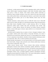 Kaimo kultūros ypatumai. Kaimo žmonių kultūrinių vertybių kaita 7 puslapis