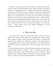 Kaimo kultūros ypatumai. Kaimo žmonių kultūrinių vertybių kaita 8 puslapis